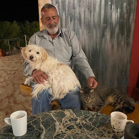 Art Studio Kefalonia Dhavgáta Eksteriør billede