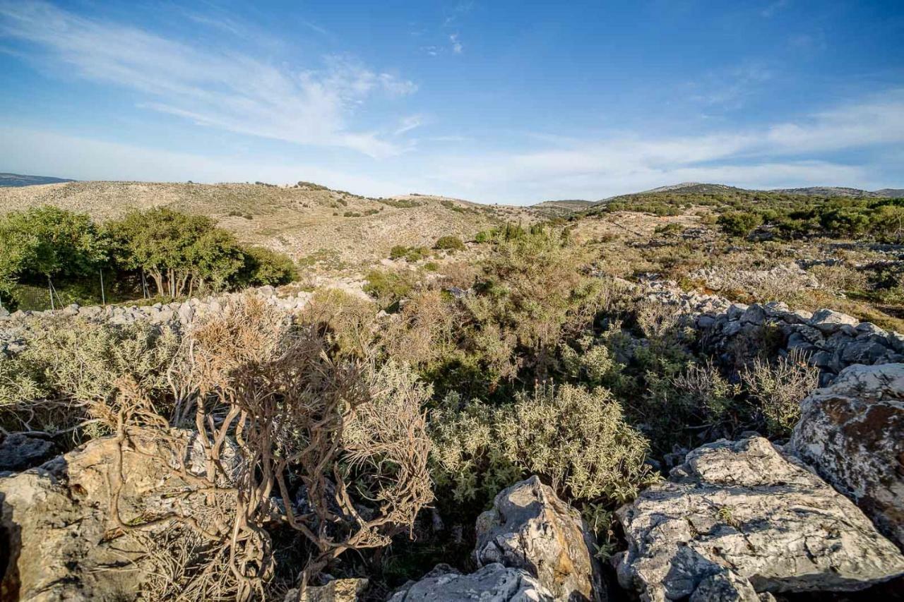 Art Studio Kefalonia Dhavgáta Eksteriør billede